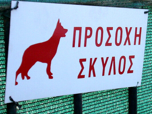 Beware of the dog