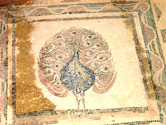 Floor mosaic with a peacock in Dionysos' House