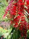 Flowers in the garden by the tourist office