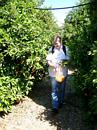 Helle picks oranges
