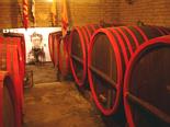 Fattoria dei Barbis' cellar