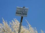 No hunting!
