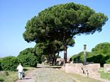 From Ostia Antica
