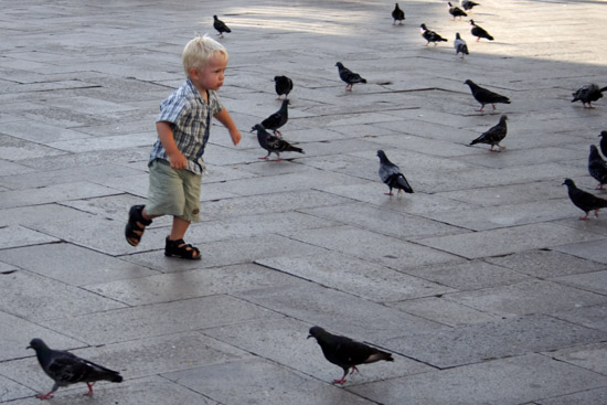 Boy chasing pigeons.