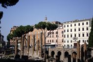 The antique hole at Largo di Torre Argentina