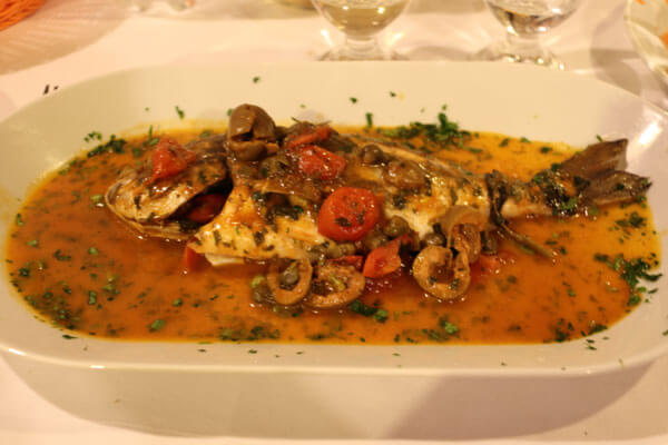 Orata dampet i havvand